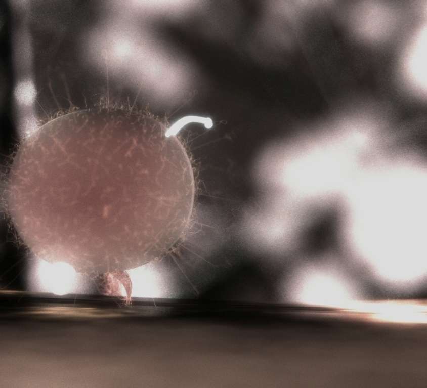 Evolution (2009)