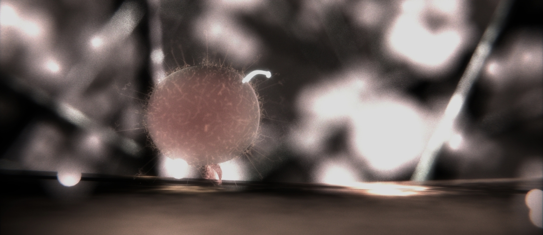 Evolution (2009)